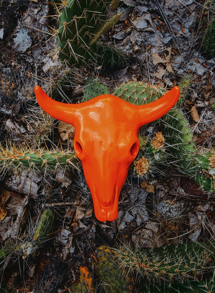 Orange-painted animal skull with long curved horns resting among green cacti and dry leaves on the ground.