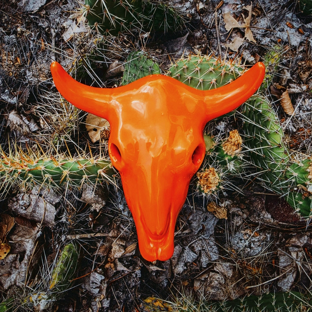 Bright orange ceramic steer skull resting among prickly pear cactus and dry prairie grass